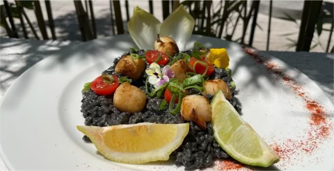 Côté Jardin - Restaurant Bouc-Bel-Air - restaurant CABRIES